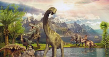 سائلو سائیبن مشروم کی تاریخ 65 ملین سال پرانی ڈایناسور کے معدوم ہونے کے