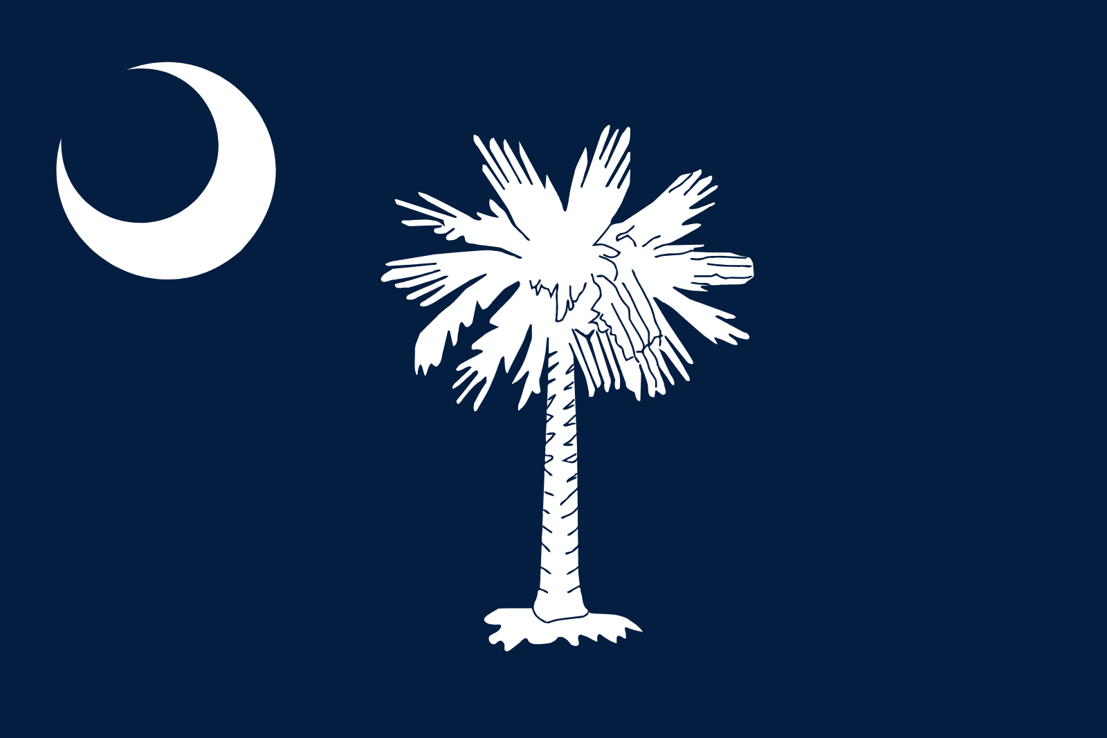 Zuid-Carolina | Lijst van vlaggen van de Amerikaanse staten