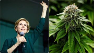 Sen. Elizabeth Warren Advocates for Cannabis Descheduling on ‘The Late Show’