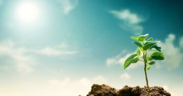 Simplificando la sostenibilidad: 4 conceptos para impulsar nuestro propósito | negocio verde