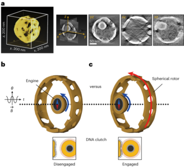 Spinning nanomotor with a DNA clutch - Nature Nanotechnology