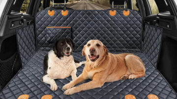Найкращі чохли для автомобільних сидінь для собак у 2024 році - Autoblog