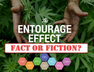 THE CANNABIS ENTOURAGE EFFECT FACT OR FICTION