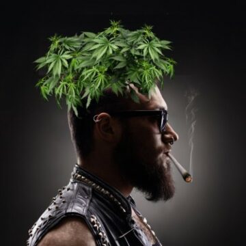 The Marijuana Industry Mullet - Great on the Top Line, No Profits on the Bottom Line