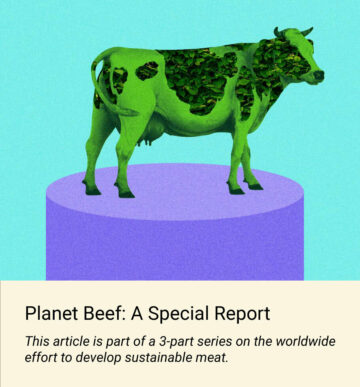 La historia de la búsqueda de 10 años de McDonald's por lograr carne sustentable | negocio verde