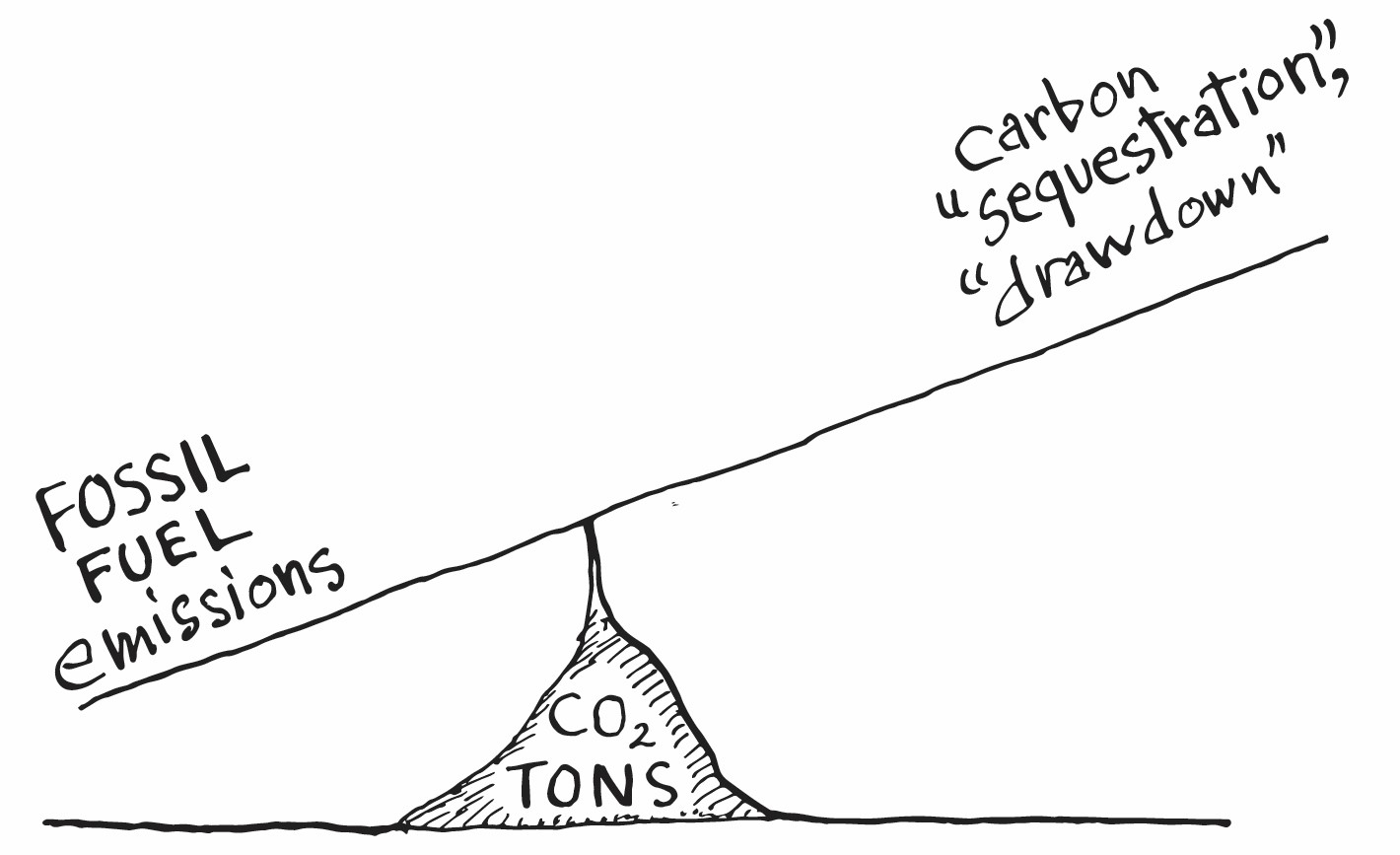 Probleem süsinikuga | Pinnase süsiniku koalitsioon