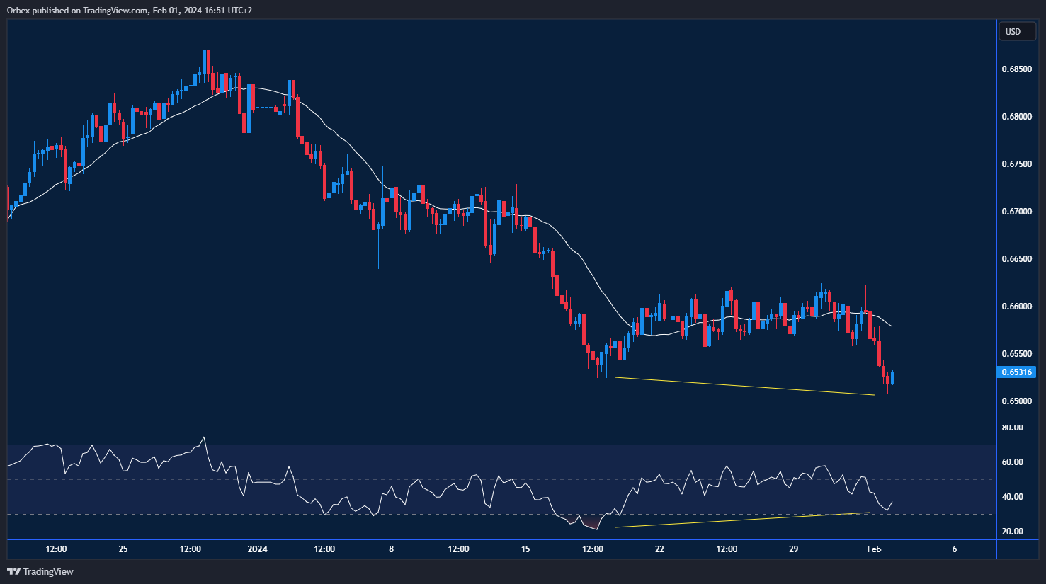 Graph showing the potential rebound and movement of the AUDUSD currency pair.