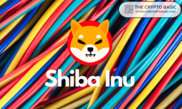 Top Shiba Inu Developer Suggests Something Exciting Is Coming