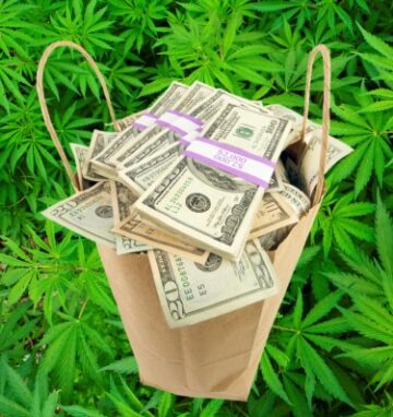 Nos equivocamos, no se crearon delitos ni problemas con la marihuana: el Estado reembolsa $1.2 millones en tarifas de impacto social al dispensario de cannabis