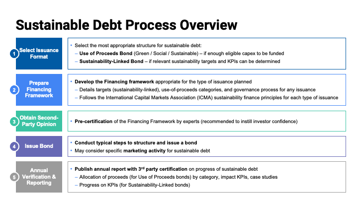 Sustainable debt