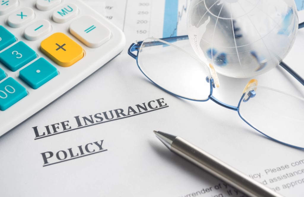 Types of Voluntary Life Insurance