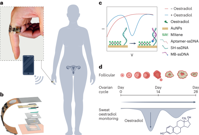 Wireless real-time monitoring of oestradiol in sweat - Nature Nanotechnology