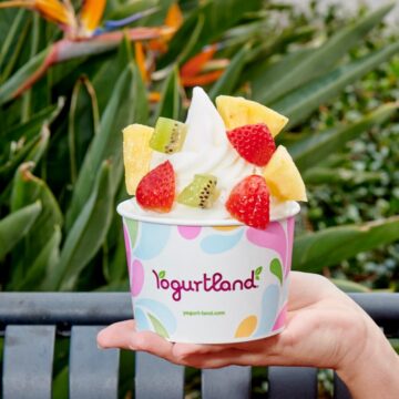 Yogurtland Fundraiser: Como aumentar sua arrecadação de fundos - GroupRaise