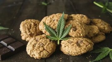 10 Må-Prøve Cannabis-matoppskrifter for hver kokk