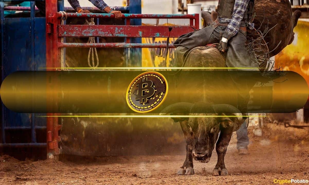 7 Signals the Bitcoin Bull Run Has Room to Run After $70,000 (Opinion)