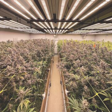 8 Products to Optimize Your Grow