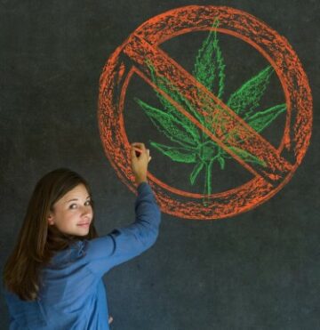 8. Klasse nüchtern – Die Legalisierung von Gras führt nicht zu einem Anstieg des Cannabiskonsums in Mittelschulen, heißt es in einer neuen Studie