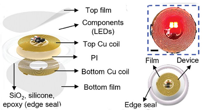 Les films multicouches biorésorbables permettent des implants bioélectroniques durables