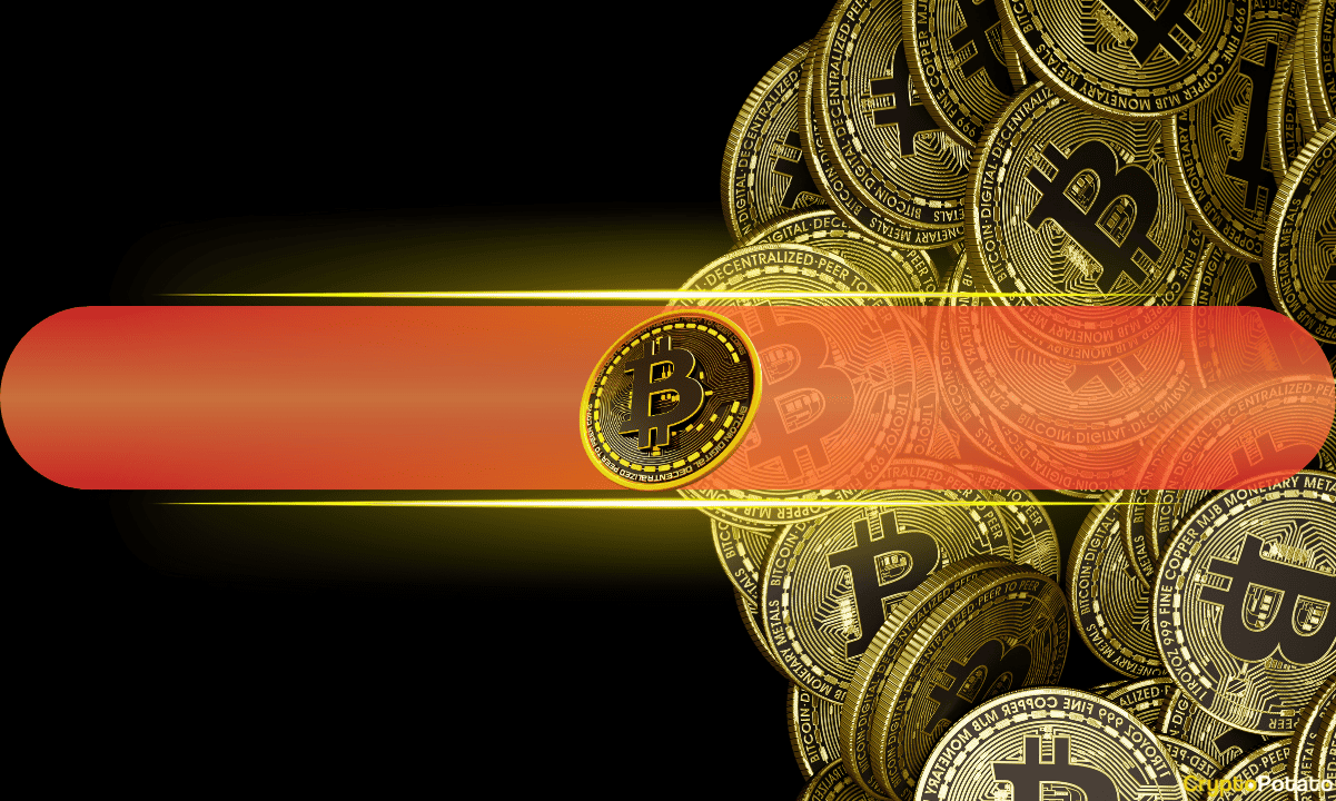 Endereços de acumulação de Bitcoin veem entradas recordes à medida que o risco de correção se aproxima: CryptoQuant