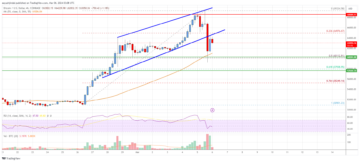 Bitcoin Price Analysis: BTC Rips To New ATH Before Taking Hit | Live Bitcoin News