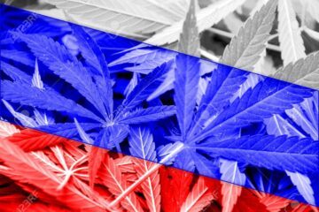 俄罗斯的大麻法：严格的法规和潜在的变化