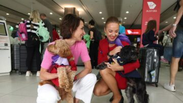 چمدان دستی: ویرجین برای اجازه دادن به حیوانات خانگی در پروازهای داخلی