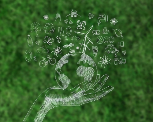Freepik Sustainability - CSA Backs New Sustainability Disclosure Standards
