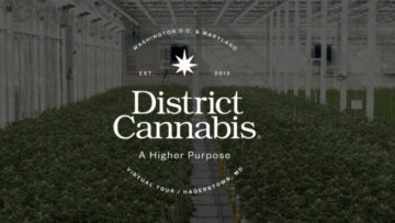 Distrikts Cannabis Bolsters ledergruppe