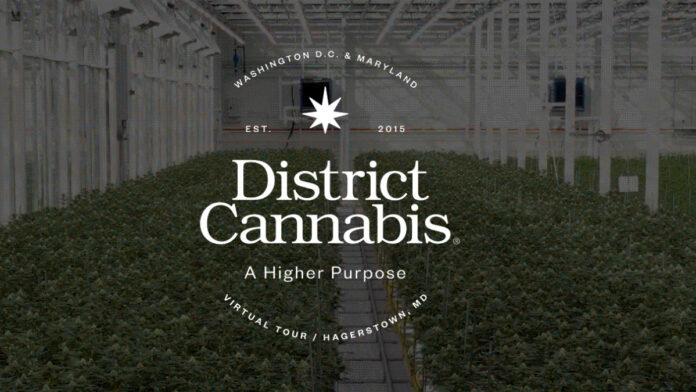 District Cannabis logo