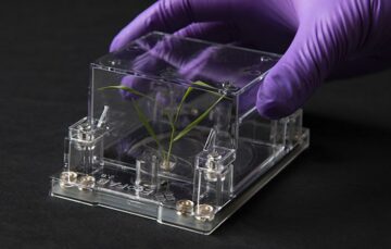 EcoFABs could lead to better bioenergy crops, say researchers | Envirotec