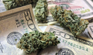 De economie oefent druk uit op de FBI om marihuana te bestrijden