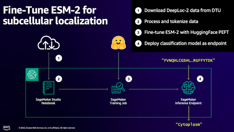 AWS architecture for fine tuning ESM