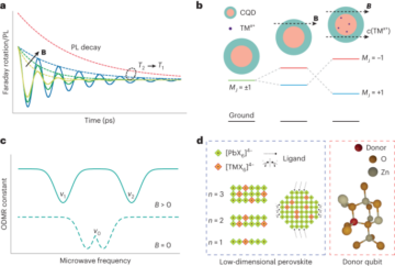 Engineering colloidal semiconductor nanocrystals for quantum information processing - Nature Nanotechnology