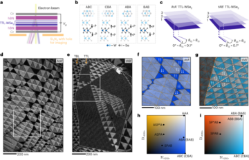 Engineering grænsefladepolariseringsskift i van der Waals flerlag - Nature Nanotechnology