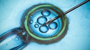 Người giải thích: Truy cập IVF ở Alabama - điều gì xảy ra tiếp theo?