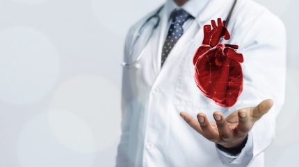 FDA myöntää 510(k) -luvan inHEARTin AI-sydänohjelmistolle