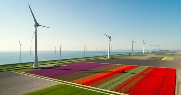 Wind farms with colorful fields
