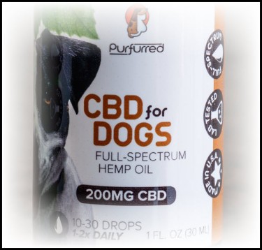 CBD BENEFITS FOR DOGS AND CATS