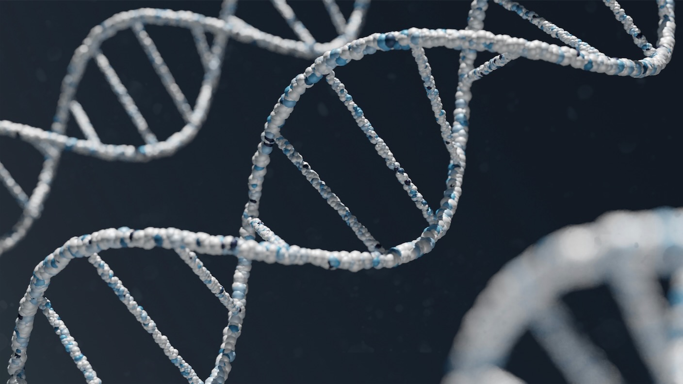 Искусственные хромосомы человека могут переносить в клетки тонны большего количества ДНК