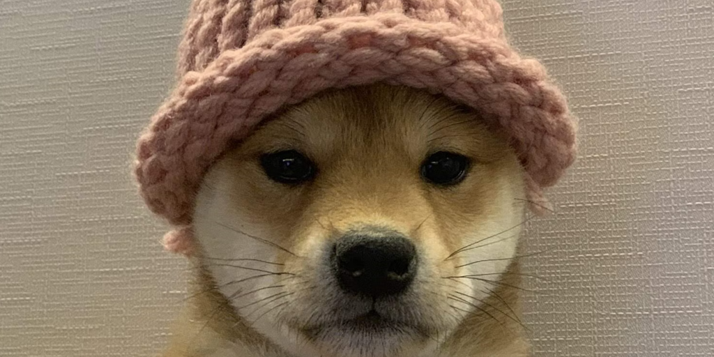 Τα Memes έχουν ένα νέο κορυφαίο σκυλί: Το Dogwifhat Ethereum NFT πωλείται για 4.3 εκατομμύρια δολάρια - Αποκρυπτογράφηση