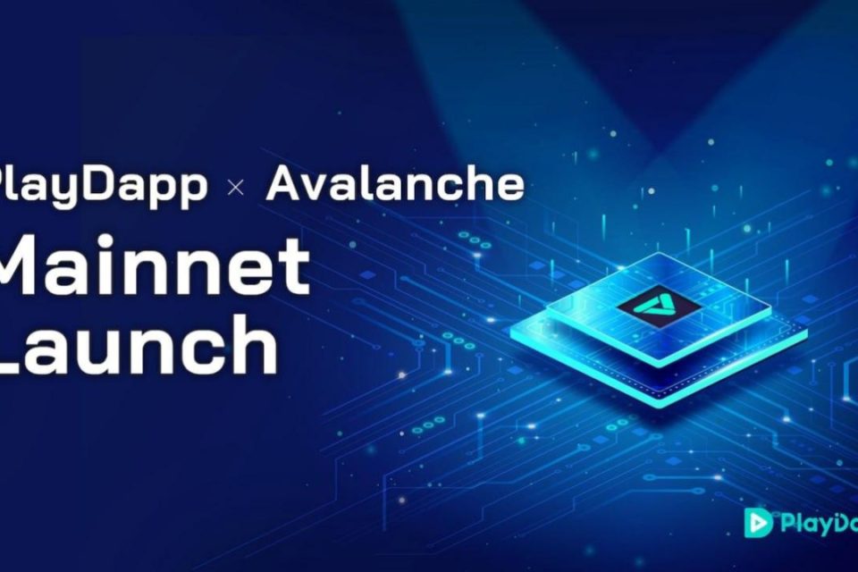 PlayDapp annonce le lancement du Mainnet : une blockchain conviviale pour l'écosystème - Startups technologiques