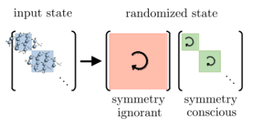 Protocolos de medição randomizados para teorias de calibre em rede