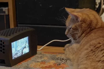 Raspberry Pi Cat TV @ Raspberry_Pi #PiDay #RaspberryPi
