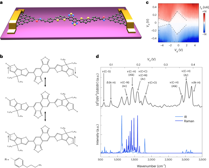 Regulation of quantum spin conversions in a single molecular radical - Nature Nanotechnology