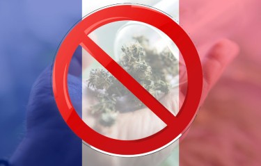 France medical marijuana program no flower
