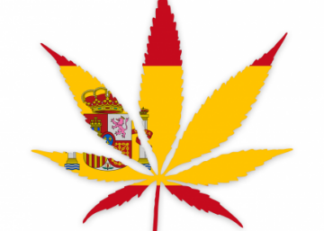 Spaniens väg till medicinsk cannabis på apotek: en regulatorisk insikt