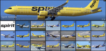 Spirit Airlines faces a fight for its survival