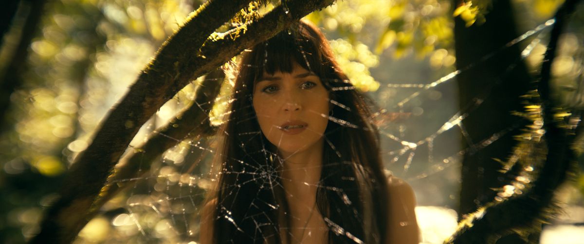 Cassandra Webb (Dakota Johnson) fica na frente de uma teia de aranha (entendeu?) em Madame Web