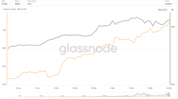 Con đường đến 100,000 USD: Sự tích lũy cá voi Bitcoin bùng nổ