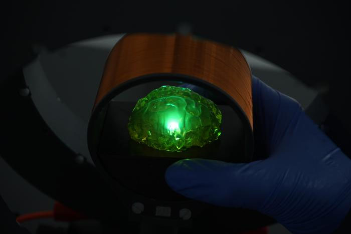 Wirelessly powered light bulb illuminating a transparent brain phantom